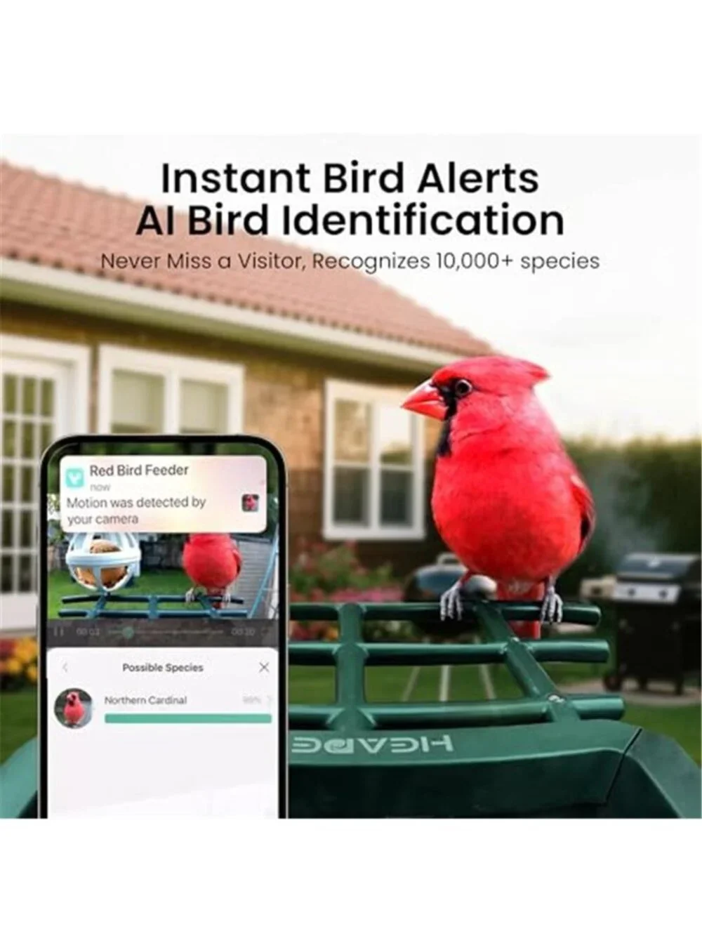 Smart Bird Feeder with Camera Solar Powered 2K HD Video, 10,000+ Species AI